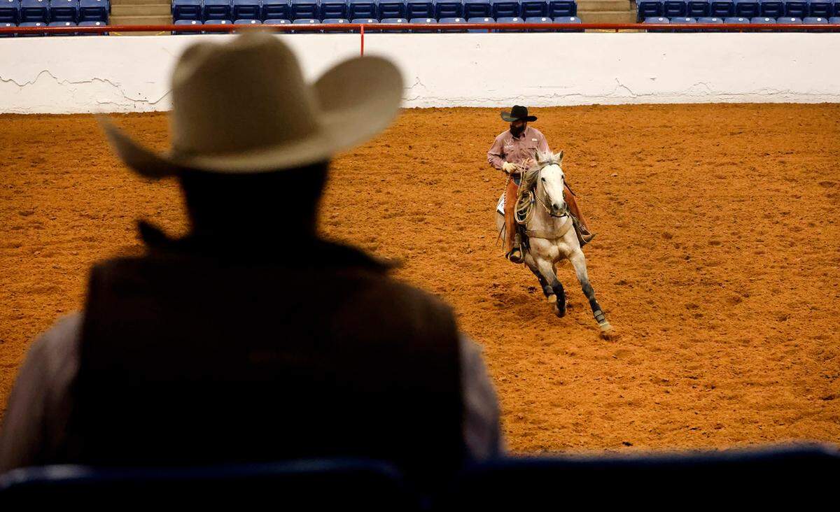 Sam Norman rides Gypsy Revolver while competing in the AQHA Versatility Ranch Horse Show of the Fort Worth Stock Show & Rodeo at the John Justin Arena on Thursday, January 11, 2024.