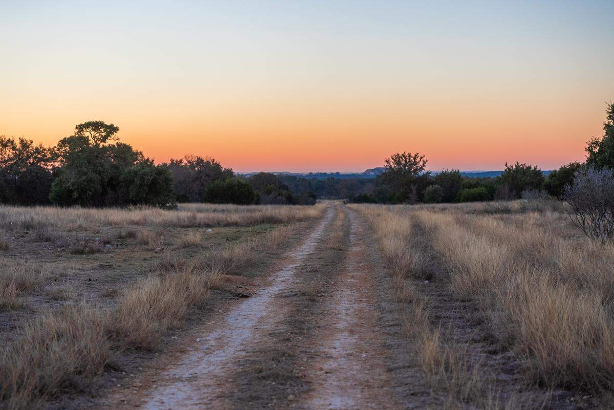Pecan Ranch