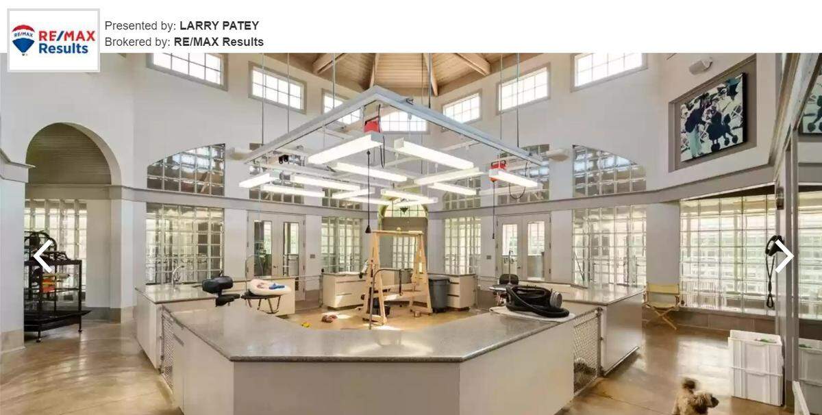 Dog facility