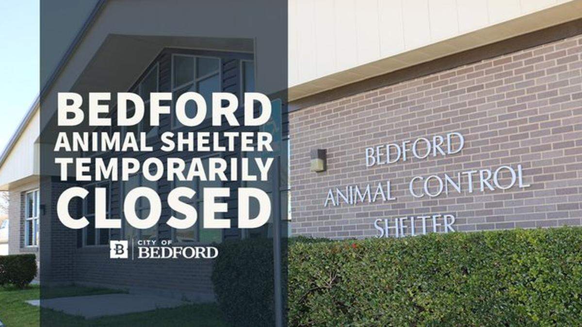 The Bedford Animal Shelter is temporarily closed after a dog was diagnosed with parvovirus, the shelter announced Thursday morning.