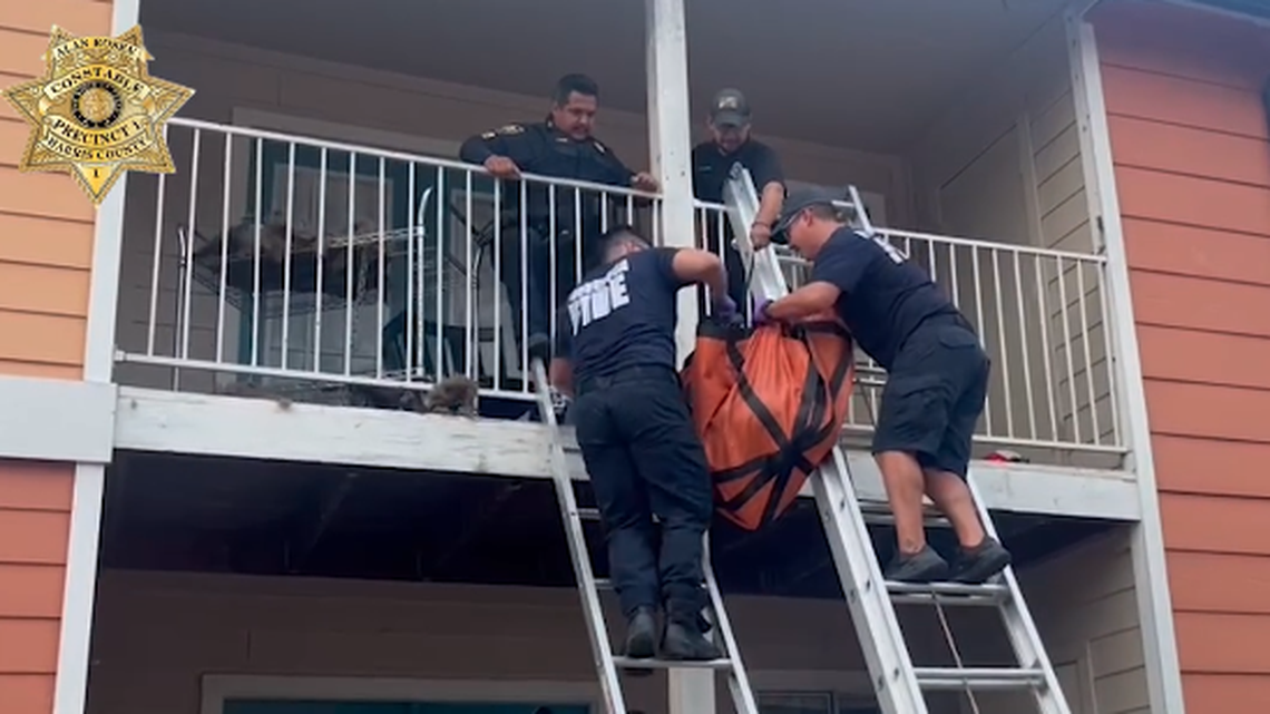 Harris County Precinct 1 constables and members of the Ponderosa Fire Department helped rescue a dog that was abandoned on an apartment balcony.