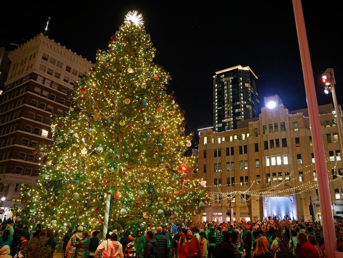 The largest live Christmas tree in Texas, an 80-foot Norway spruce from Michigan, was illuminated during a ceremony Wednesday in the Sundance Square plaza.