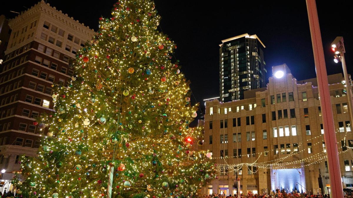 The largest live Christmas tree in Texas, an 80-foot Norway spruce from Michigan, was illuminated during a ceremony Wednesday in the Sundance Square plaza.