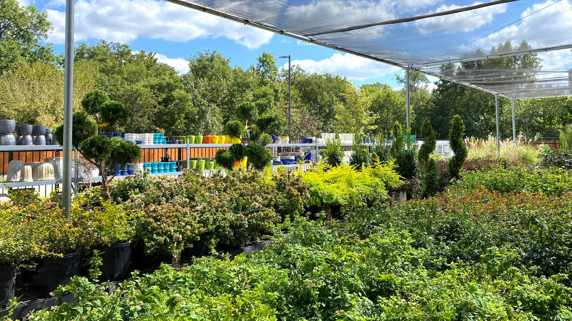 Here’s why you should go to the certified pros for your North Texas landscape and garden