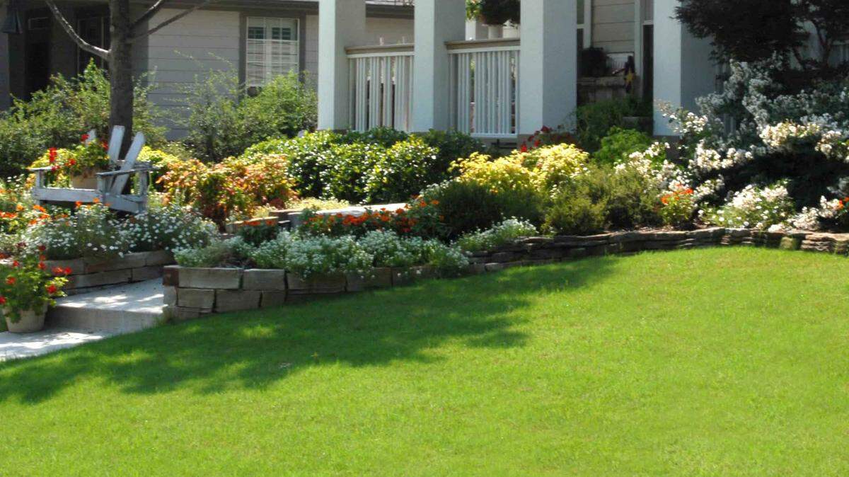 Bermuda, which can be planted from sod or plugs, requires full or nearly full sunlight.