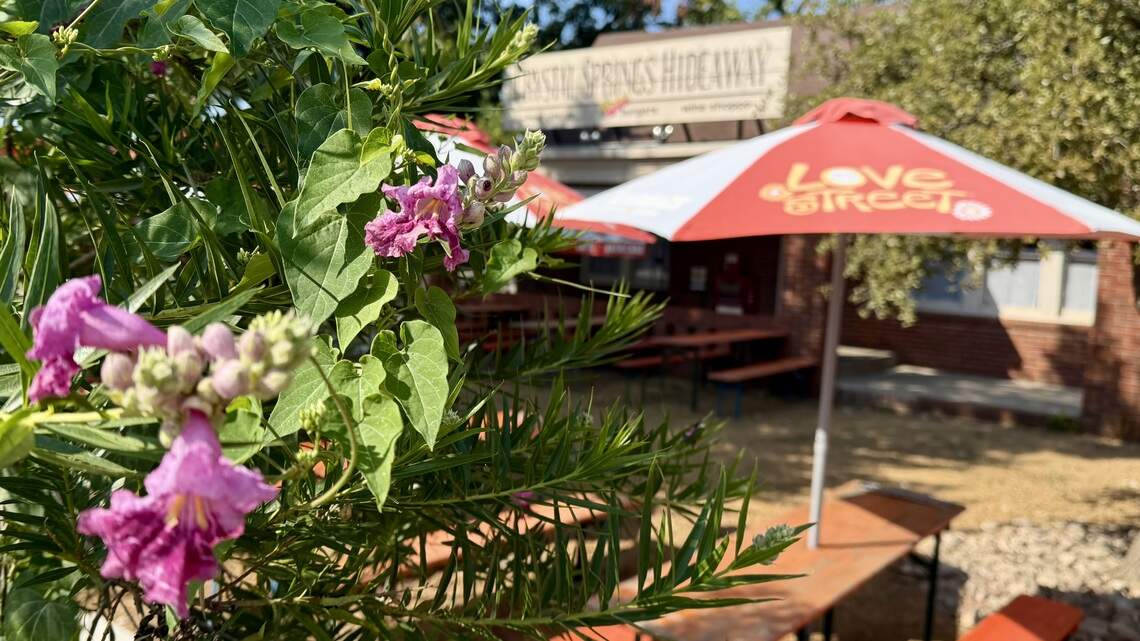 A historic home becomes a popular west Fort Worth beer garden and coffee cafe