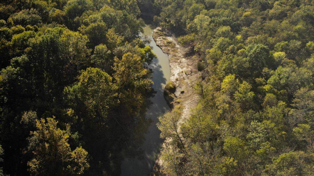An aerial view of the Sulfur River, which runs vertically in the picture and is surrounded by lush green trees. 