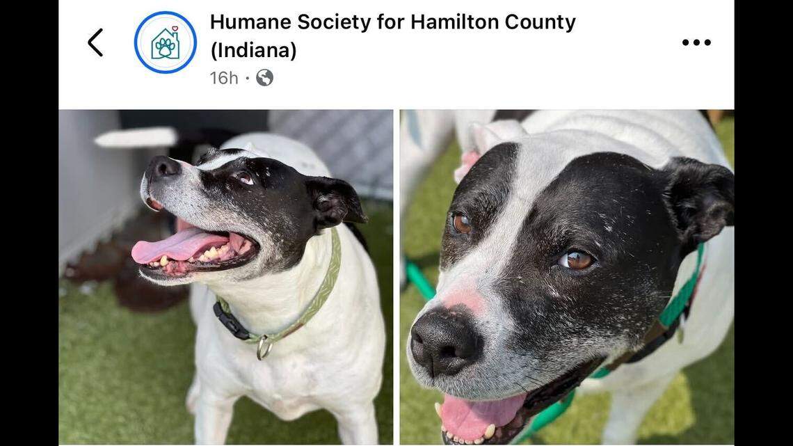 Anthony’s sweet face.