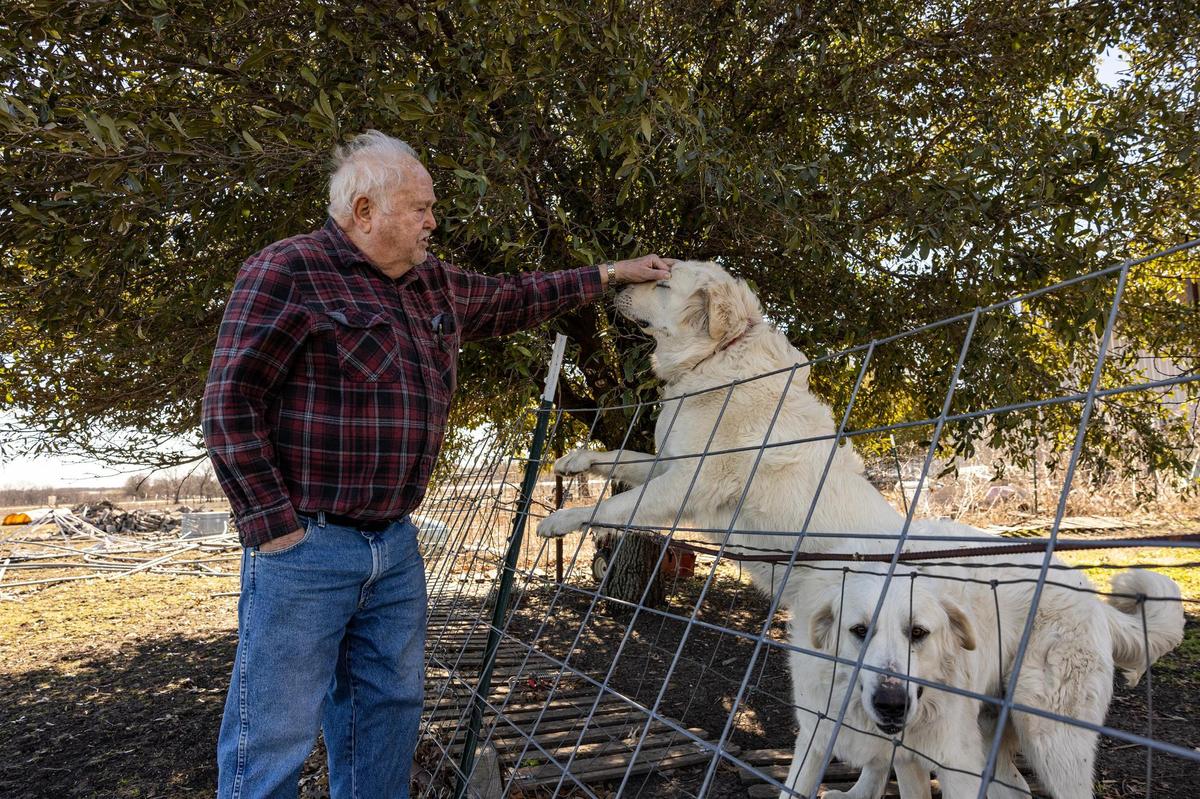 Justin resident Johnnie Holcomb pets his dogs Scout and Duke in his backyard on Jan. 23.