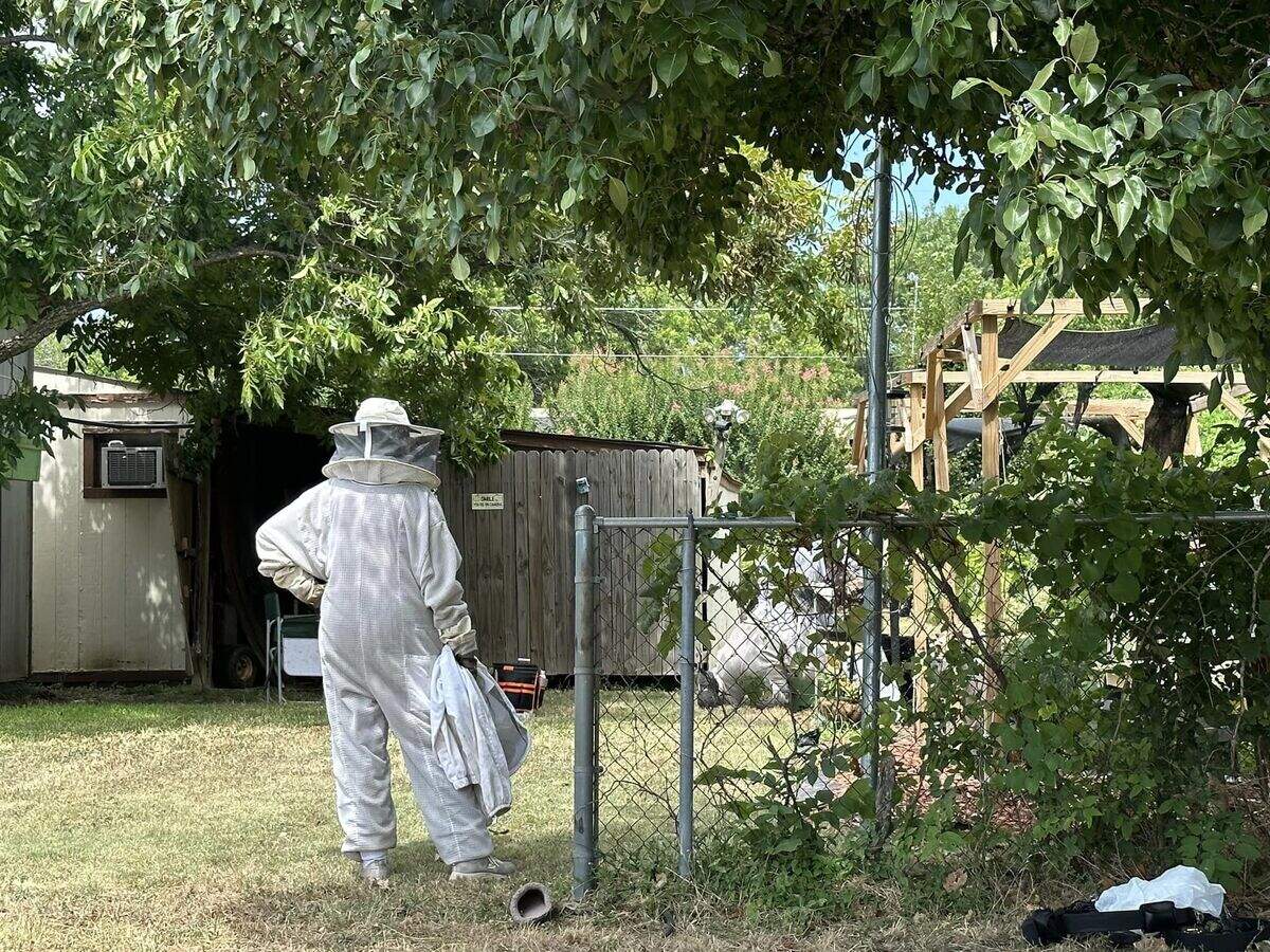 Firefighters and officers were stung after discovering a deceased man while extinguishing a fire near a beehive in the 700 block of Vaquero Street, but did not need additional treatment.