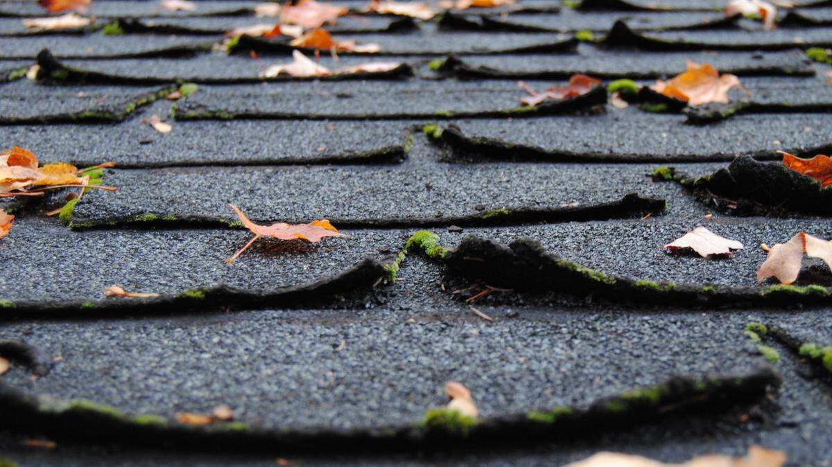 Two suspects allegedly tried to make off with a Kia-full of roofing shingles early Tuesday morning.