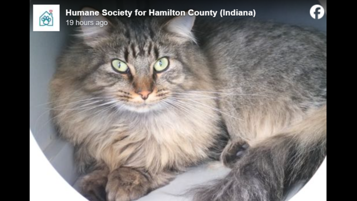 Momo showing off his good looks.