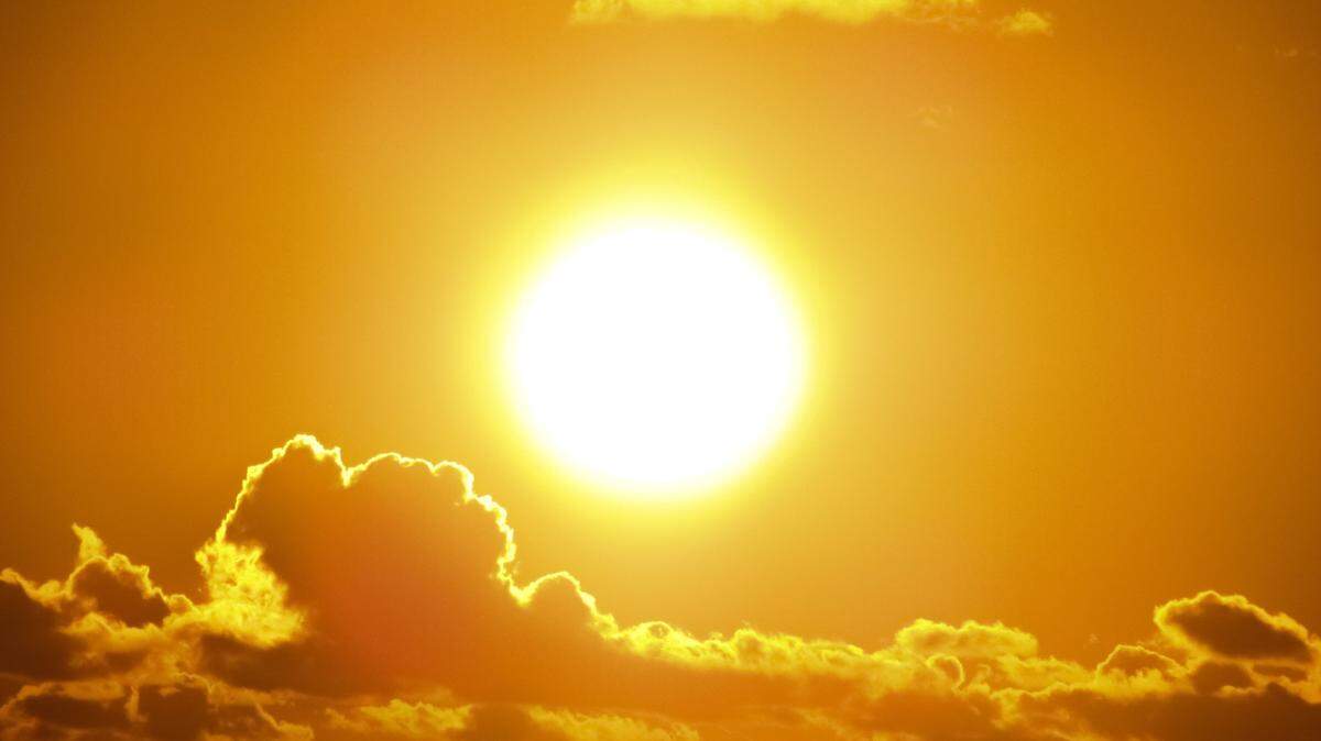 Sunny
