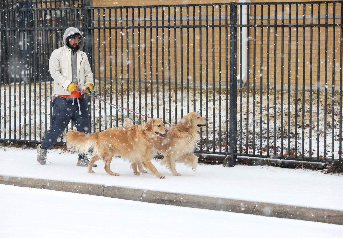 Jason Engelman walks his dogs, Daisy and Duke, while snow falls Thursday morning in Fort Worth.