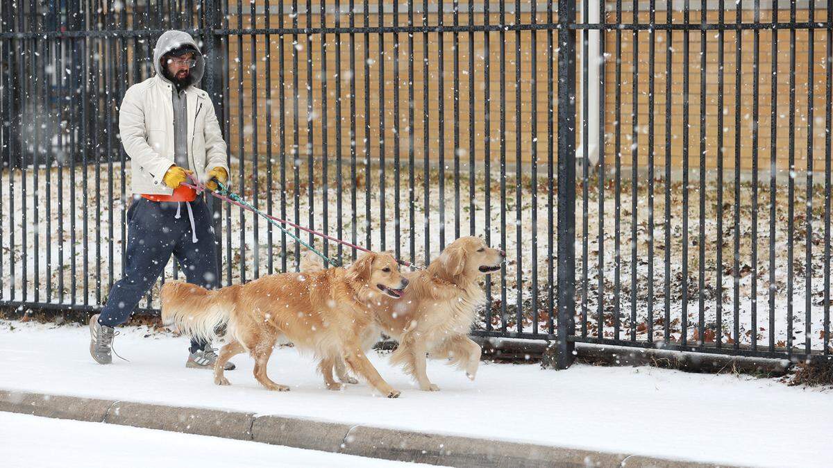 Jason Engelman walks his dogs, Daisy and Duke, while snow falls in Fort Worth in 2022.
