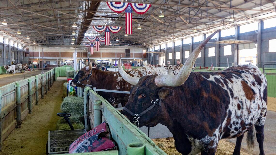 Here are the Republican primary candidates for Texas agriculture commissioner