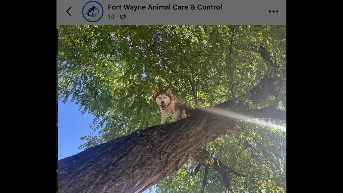 Aurora learning the hard way that what goes up, must be helped down.