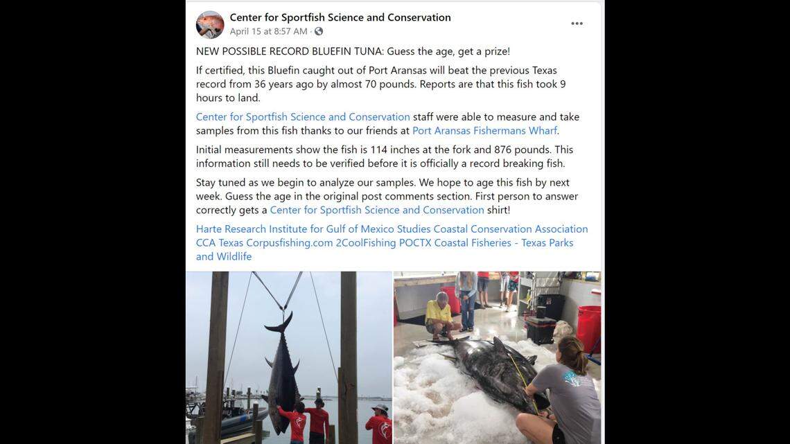 Troy Lancaster might have broken a Texas record with his whopper of a bluefin tuna.