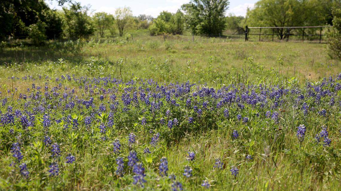 Dallas-based developer StoneHawk Capital Partners LLC is asking the city for a zoning change to build 336 apartment units and townhomes at 11413 Mosier Valley Road, just south of Trinity Boulevard near Euless.