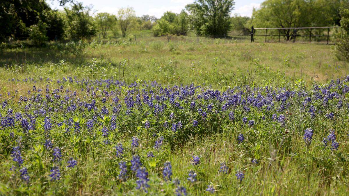 Dallas-based developer StoneHawk Capital Partners LLC is asking the city for a zoning change to build 336 apartment units and townhomes at 11413 Mosier Valley Road, just south of Trinity Boulevard near Euless.