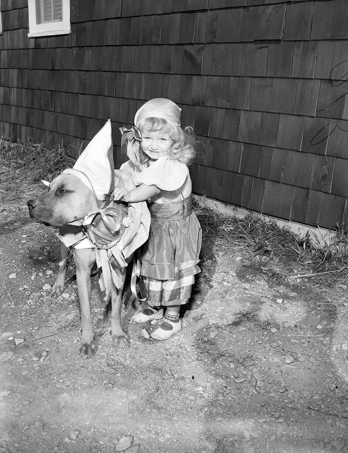 1952: Two-year-old Valerie Brants, daughter of Mr. and Mrs. H.P. Brants, and her boxer King, are all dressed up to scare some of the goblins that will be on the loose Halloween night.