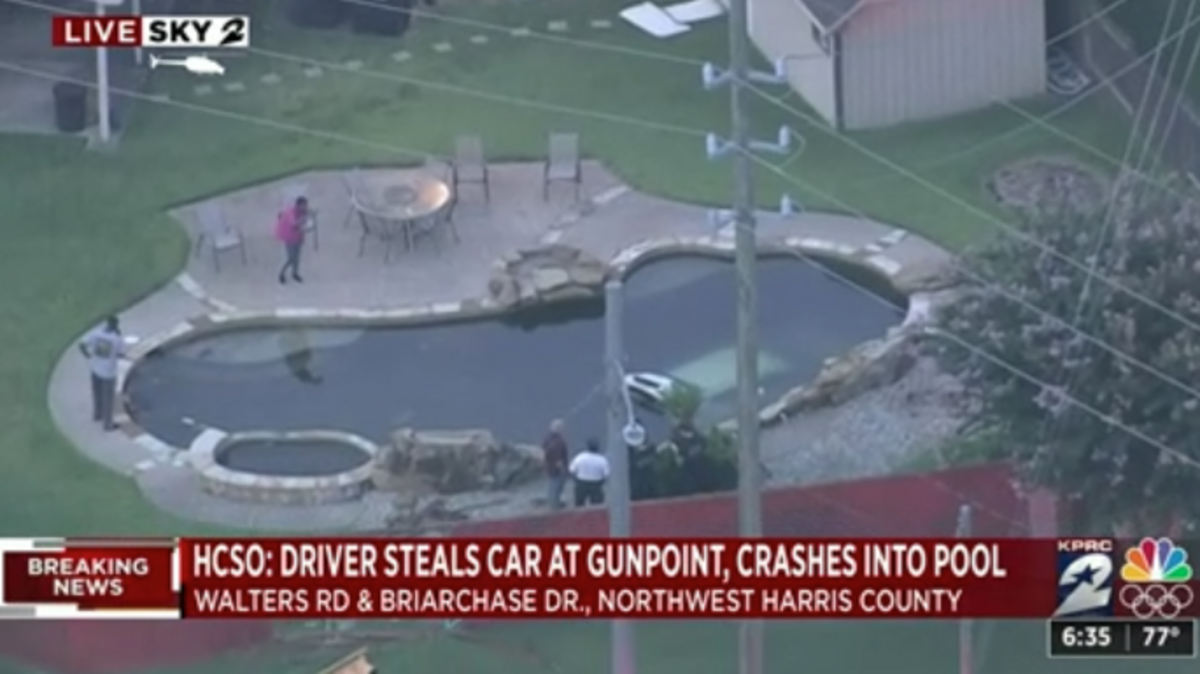 A car was submerged in a swimming pool Friday after an alleged carjacker crashed in a residential backyard.