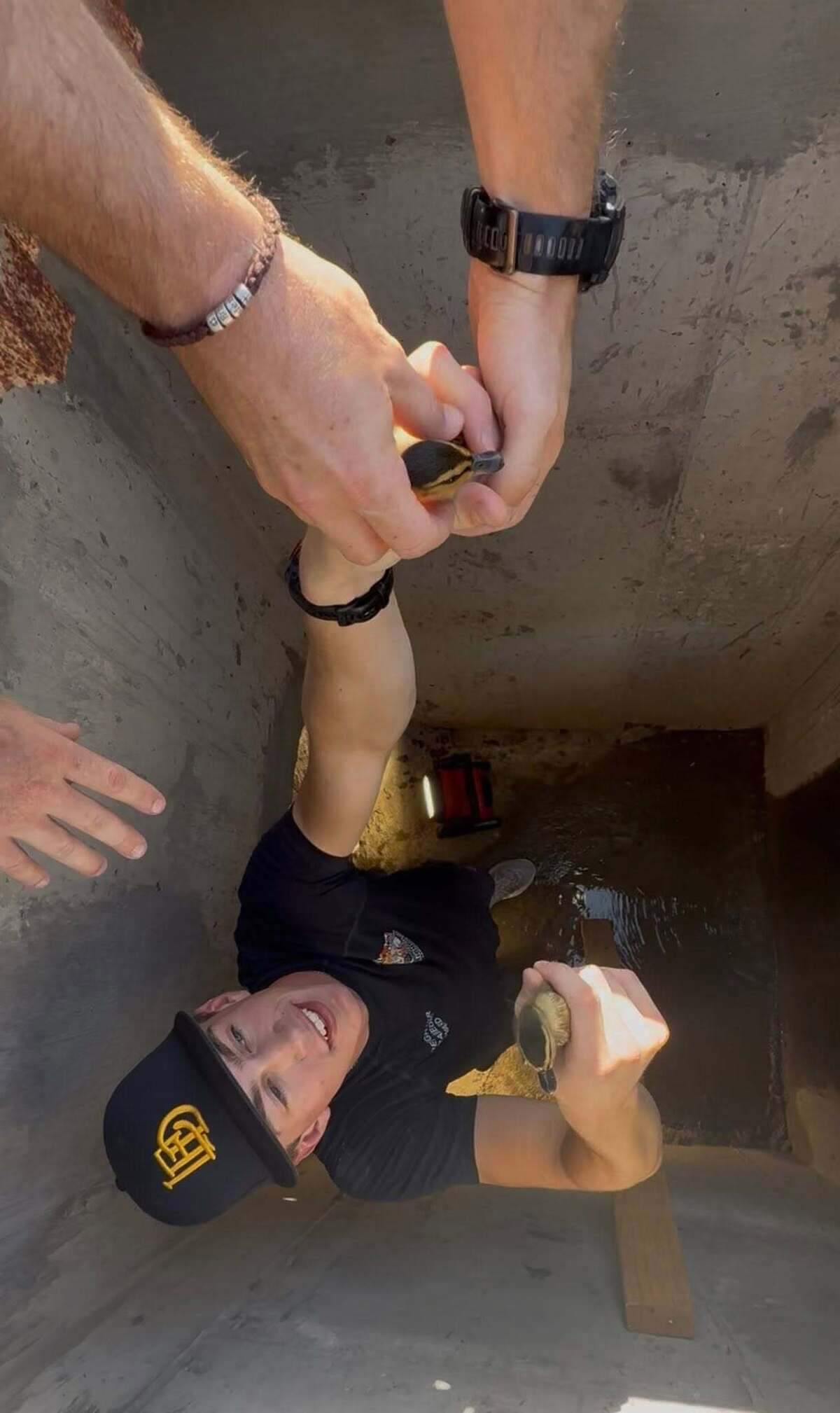 Members of the department quickly jumped into action and worked together to remove the ducks from the drain, according to officials.