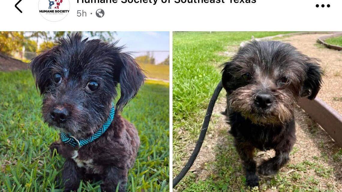 Mack and Beverly are ready to be welcomed into a loving family together.