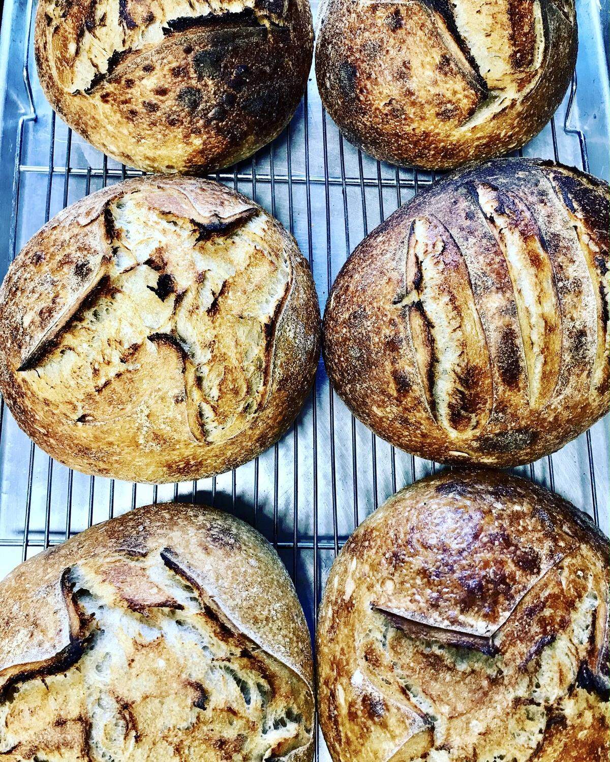 Texas wheat sourdough (Yecora Rojo wheat) from Icon Bread, sold in local farmers’ markets and a feature at 3rd Street Market.