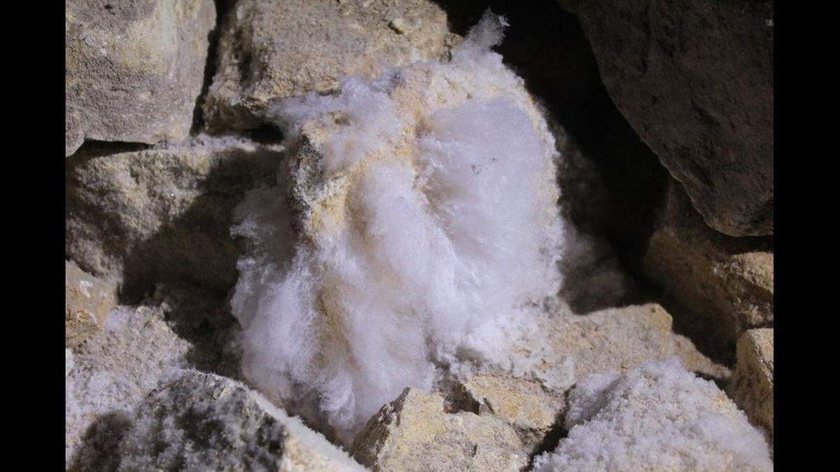 Something that looks like cotton candy is sprouting from rocks in Carlsbad Caverns National Park. What’s causing it?