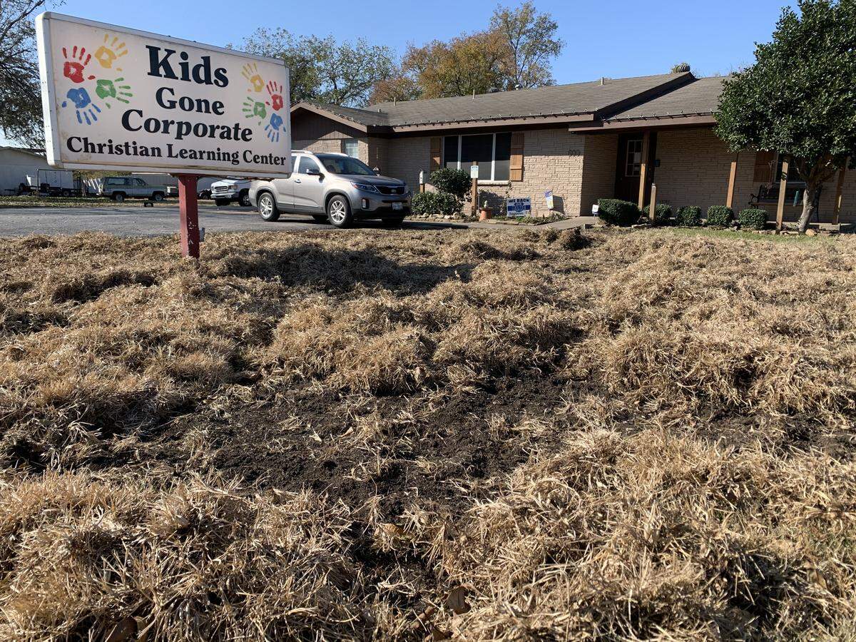 Hogs caused significant damage to the property of Kids Gone Corporate daycare center in Saginaw.