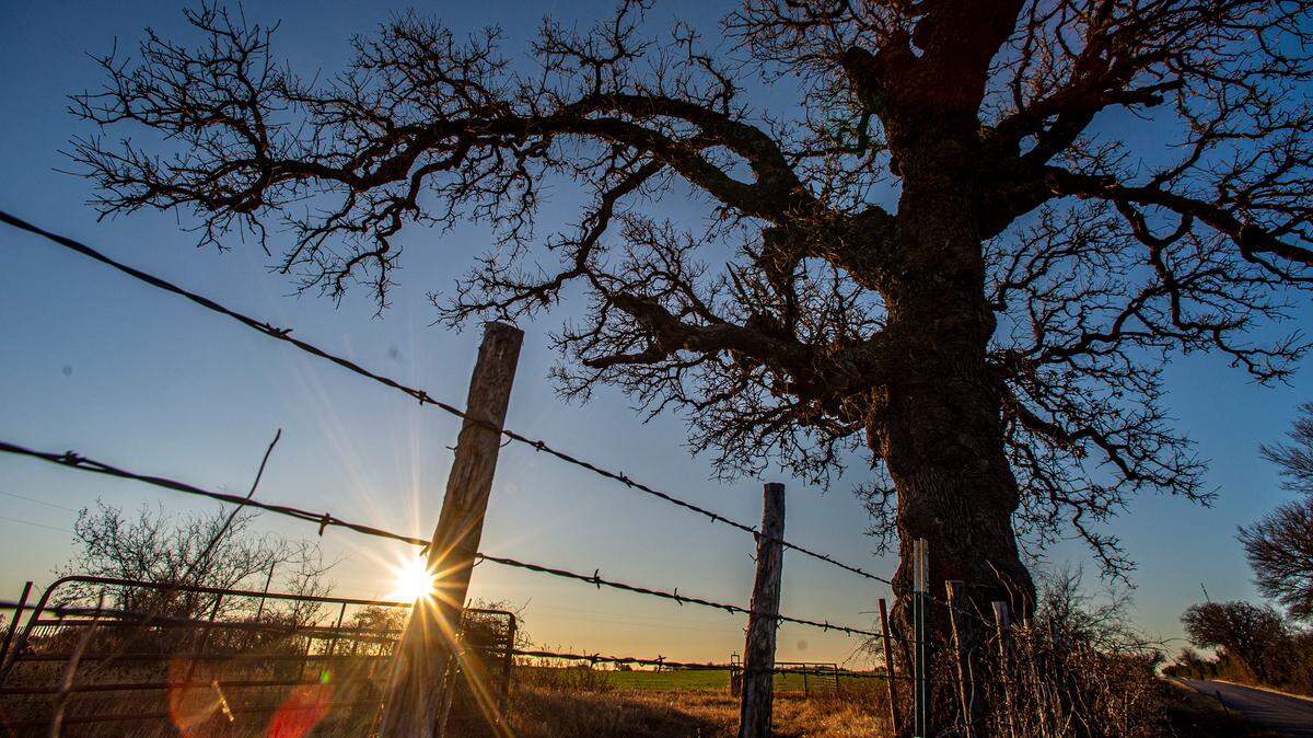 While wet, chilly conditions are in the forecast, severe weather is not. The National Weather Service in Fort Worth forecasts a chilly weekend, followed by light rainfall early week with things warming up​ before Thanksgiving. Photo taken Sunday, Jan. 2, 2022.