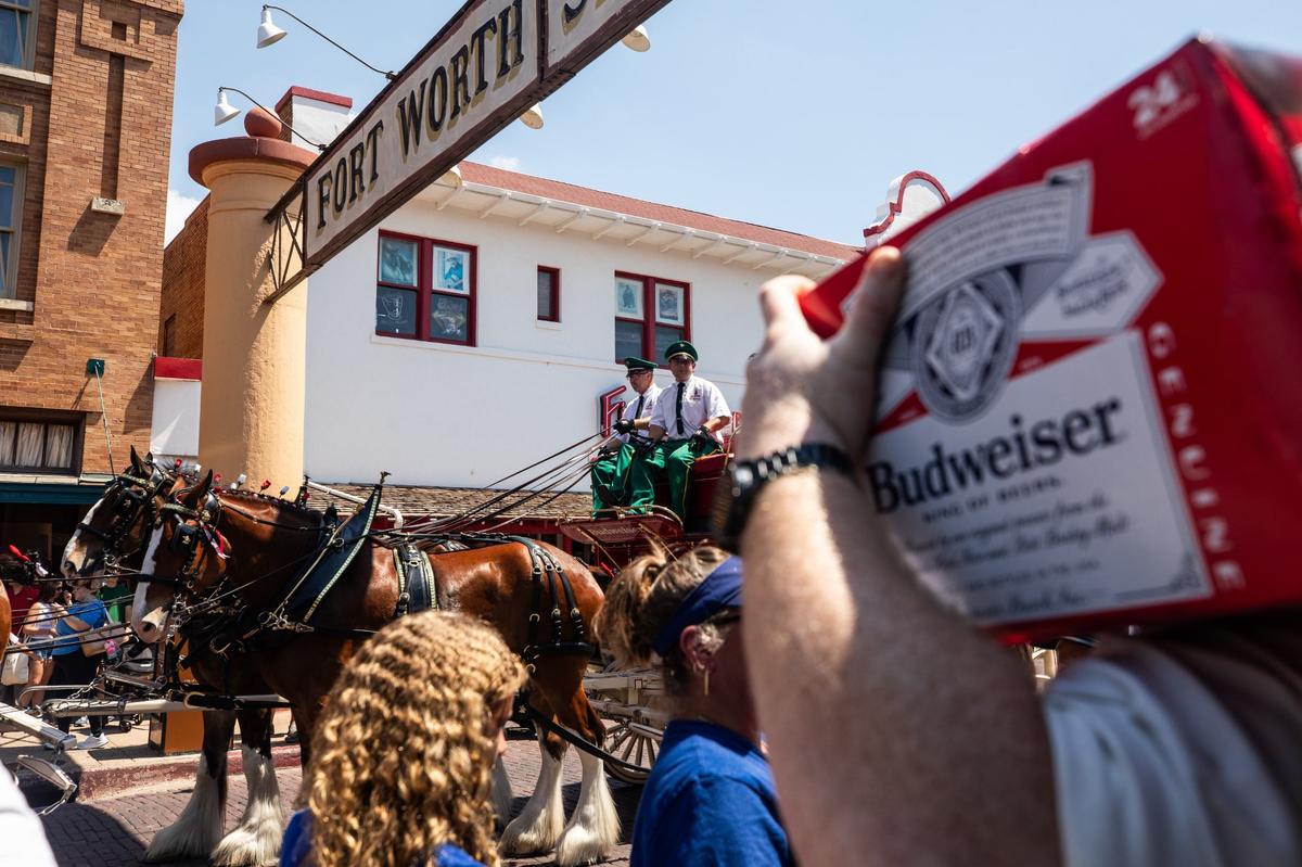A member from the crowd holds a case of bear with the Clydesdales standing in the street on Friday, July 12 at the Fort Worth Stockyards. Budweiser Clydesdales delivered beer to the crowd as they strolled down the street celebrating the upcoming All-star week.