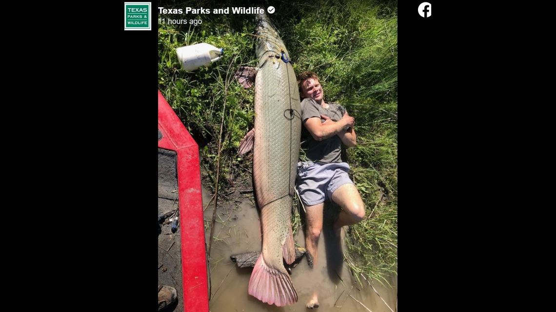 An angler caught a record alligator gar while fishing on a southeast Texas lake, wildlife officials said.