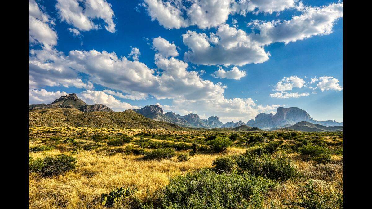 A father and stepson are dead after going on a hike in scorching heat at Big Bend National Park in Texas, National Park Service officials say