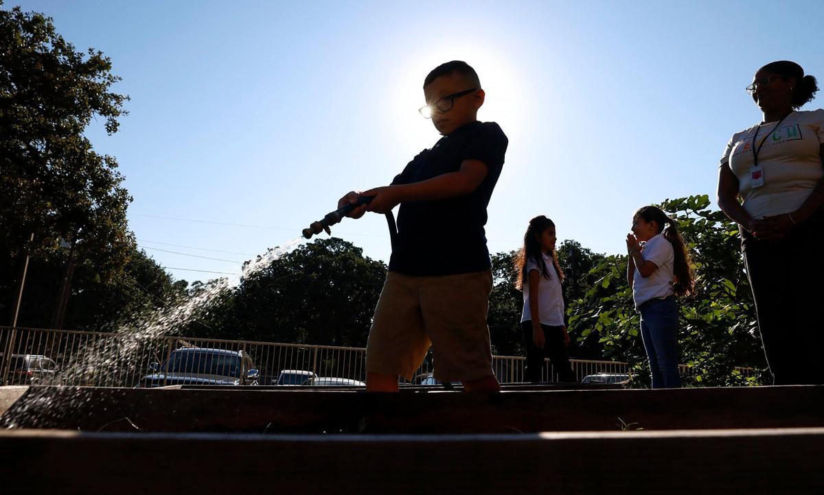 Second-grader Spencer Richards waters a raised bed while working in the garden at Sagamore Hill Elementary with fellow classmates on Thursday, Sept. 19, 2024, in Fort Worth. Sagamore Hill moved from an F to a B in Fort Worth ISD’s self-reported A-F scores.
