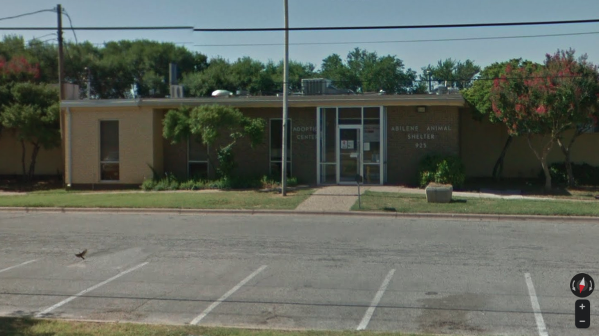 A man is accused of breaking into an animal shelter in Abilene, Texas.