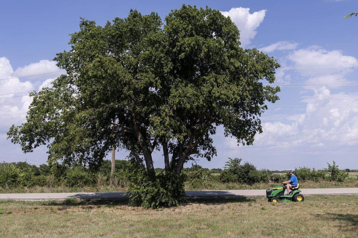 A large tree is just left of center while Kevin, much smaller in the frame, sits on his green lawn mower to the right.