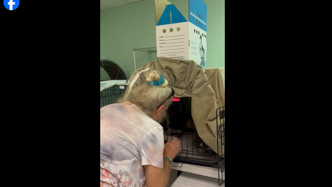 Cindy reuniting with one of her two missing cats.