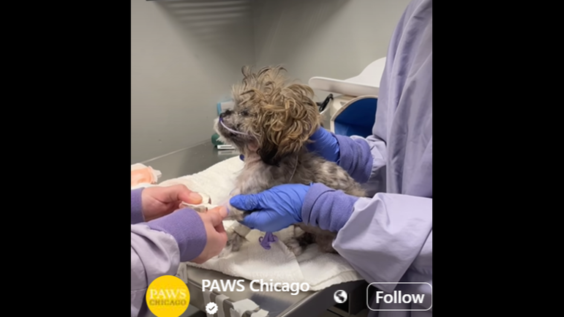 Freddy got the help he desperately needed.