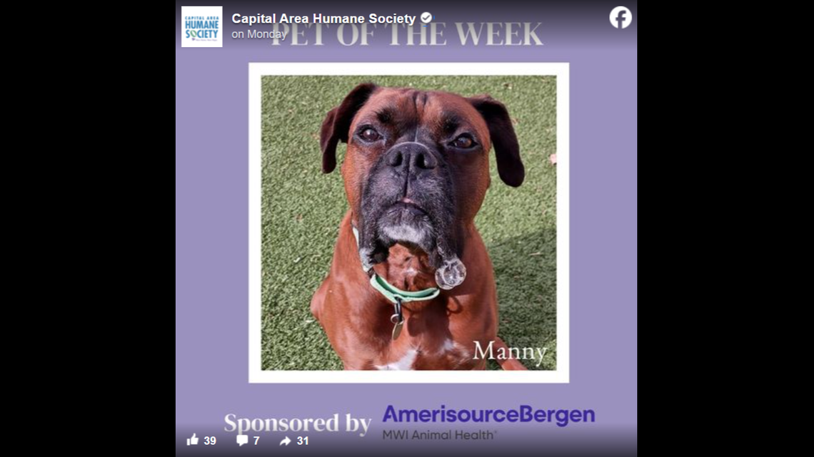 Manny proudly showing off his spit bubbles.