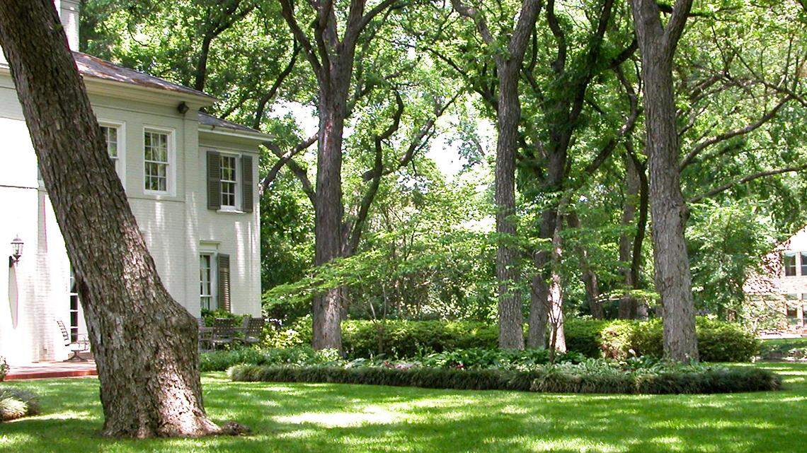 The next two weeks are key for helping your North Texas lawn survive winter