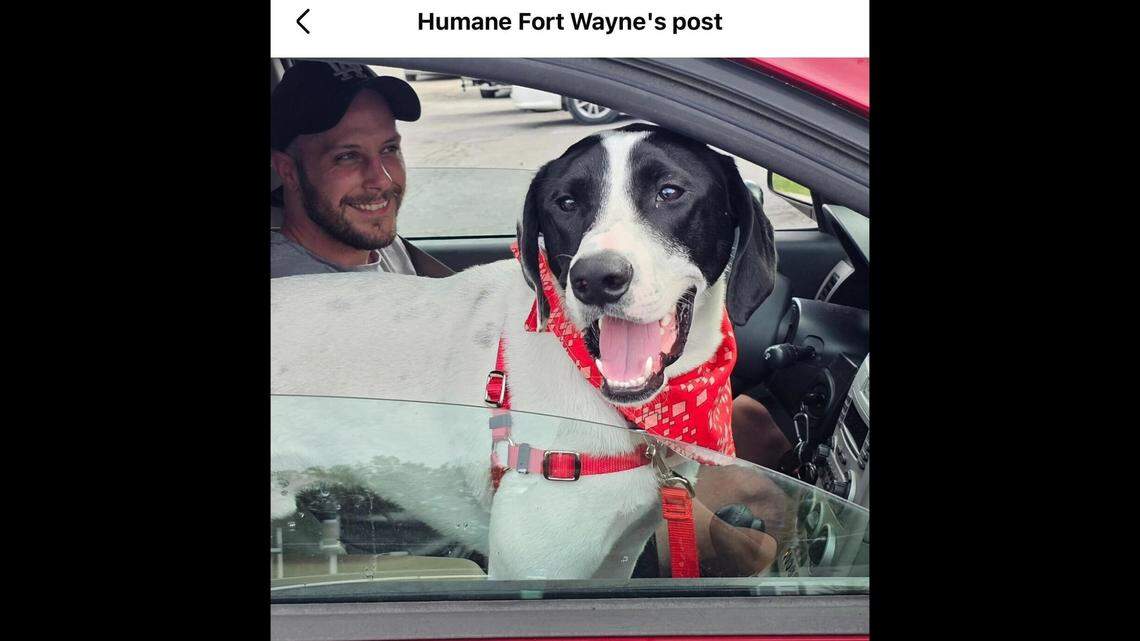 Expo finally can celebrate his “gotcha day”