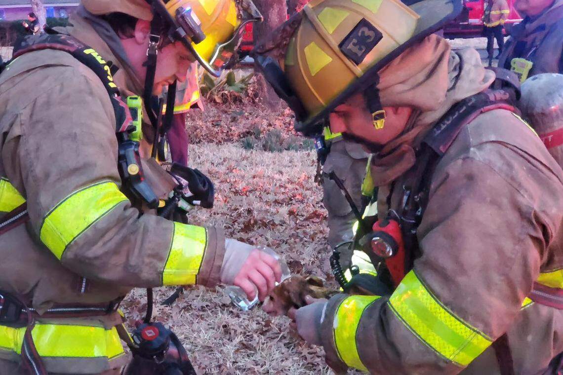 Grand Prairie firefighters rescued a person and two dogs from a house fire on Thursday morning, Jan. 12, 2023.