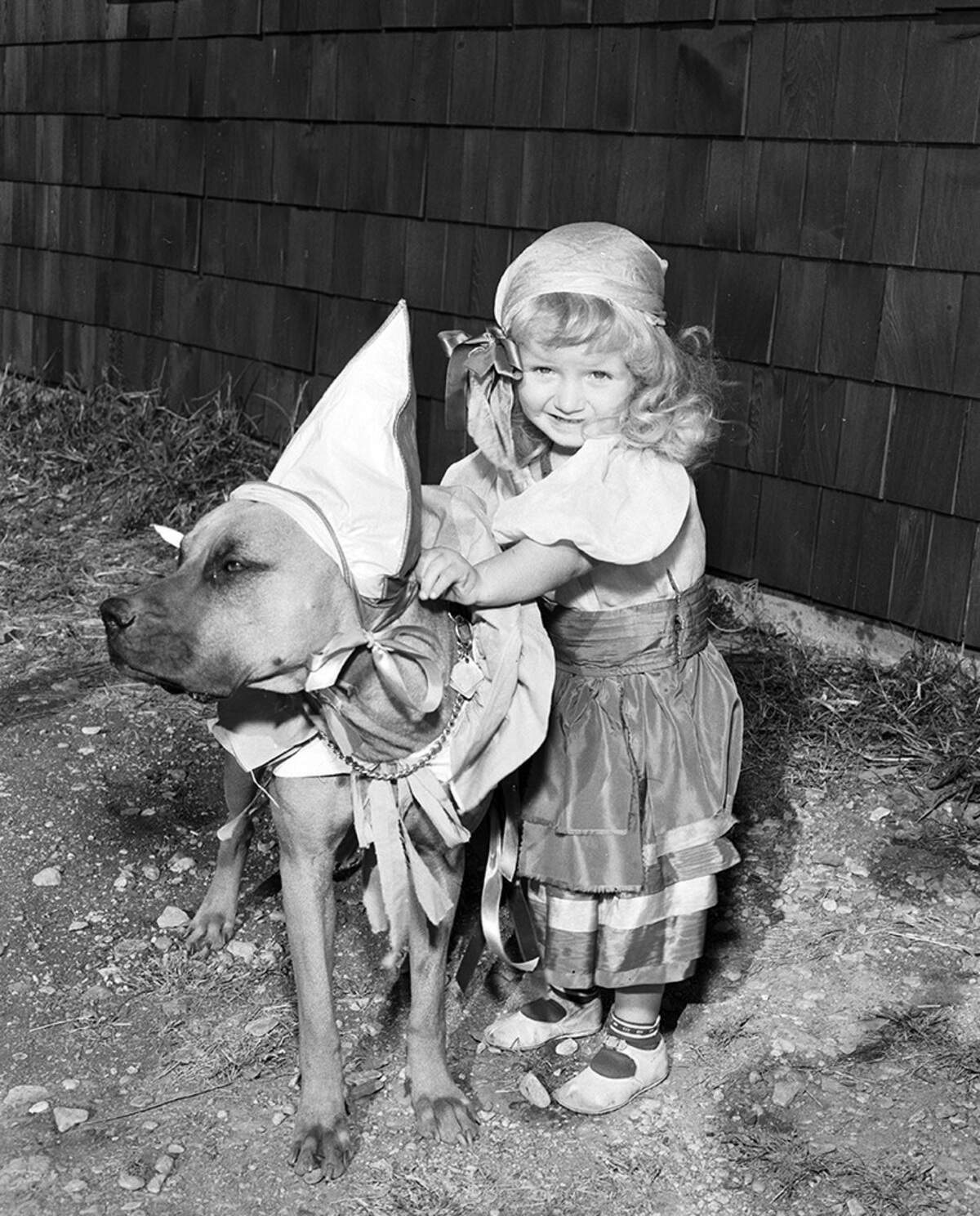 Two-year old Valerie Brants and her boxer dog, King, were more than ready for the goblins who roamed on Halloween night in 1952.