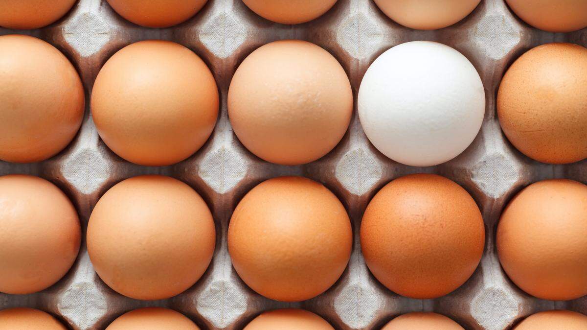 Carton of eggs.