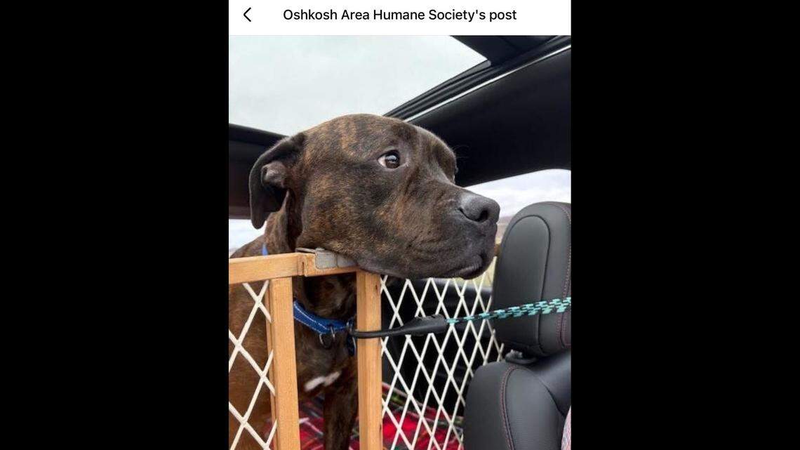 What a backseat driver.