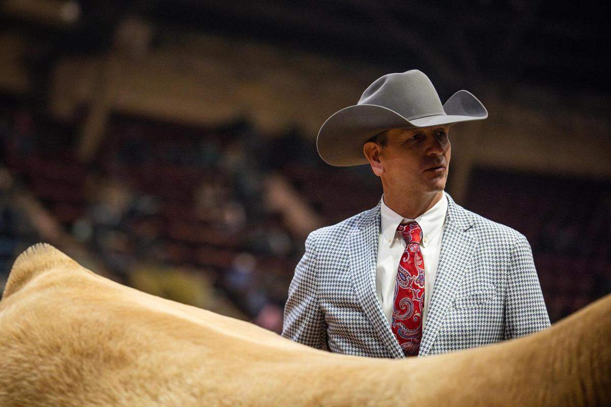 Steer Judge Mark Hoge analyzes a steer to be judged for the Junior Livestock Judging Contest at the Fort Worth Stock Show & Rodeo on Friday, Feb. 2, 2024.