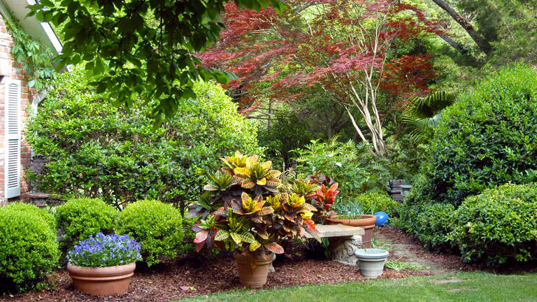 How should you plant shrubs for a beautiful Texas landscape? Hint: no straight lines.