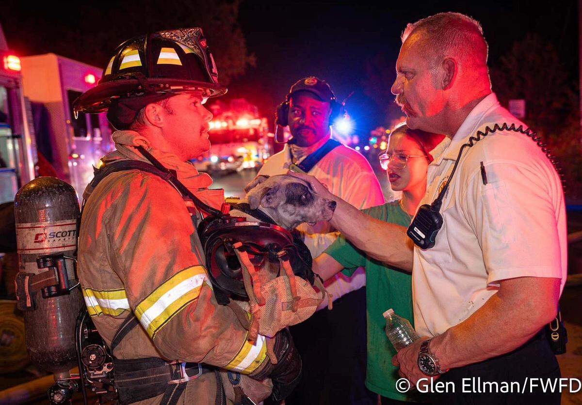Fort Worth Fire Department crews were dispatched to R. Vickery School on Tuesday night for a fire in the building’s east wing. Firefighters found a dog inside and reunited it with its owner.